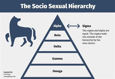 sigma vs omega|alpha beta sigma male chart.